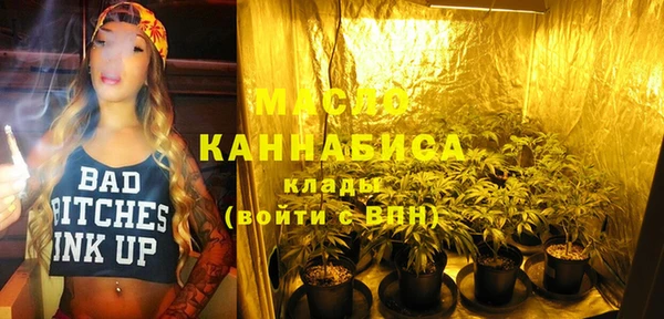 стаф Бородино