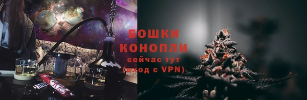 шишки Богданович