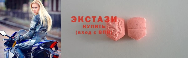 СК Богородицк