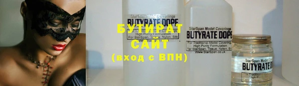 стаф Бородино