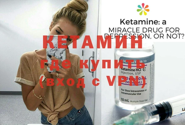 стаф Бородино