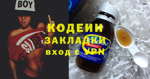стаф Бородино