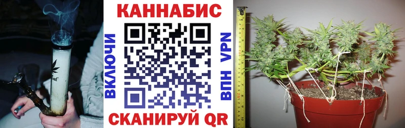 Бошки марихуана AK-47  Высоковск 